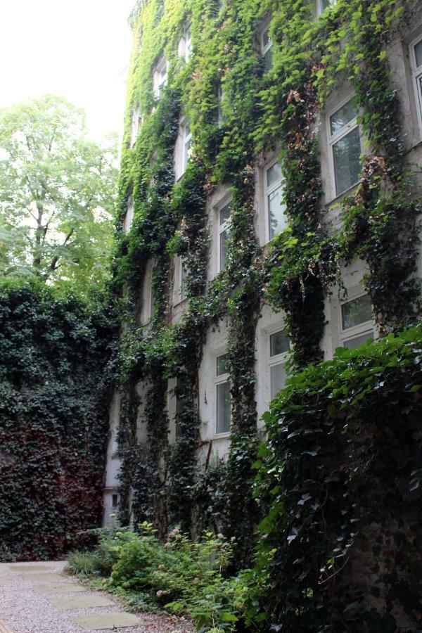 Central & Classic In Vienna Apartment Exterior photo